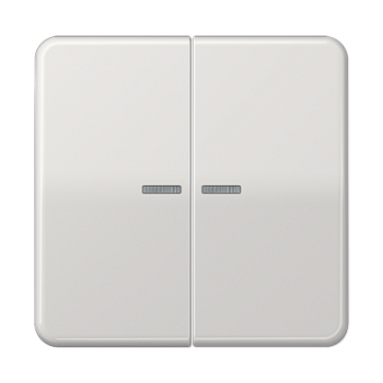 JUNG Клавиша для KNX кнопки, 2 группы с окошком дюропласт светло-серый CD102KO5LG