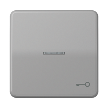 JUNG CD 500/CD plus Серая Клавиша 1-ая с/п с символом КЛЮЧ CD590KO5TGR