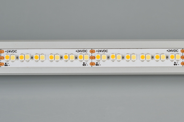 Купить Arlight Светодиодная лента RT-A240-10mm 24V White-MIX (19.2 W/m, IP20, 3528, 5m) (Открытый) 025210(2)