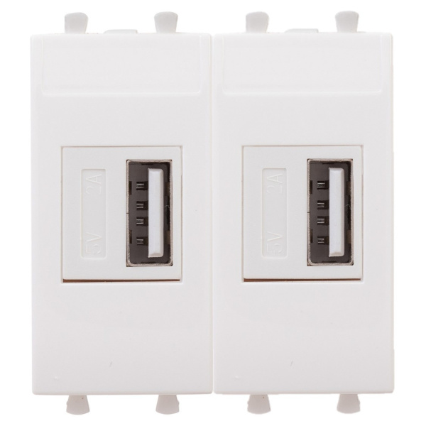 DKC USB зарядное устройство модульное, "Avanti", "Белое облако", 2 модуля