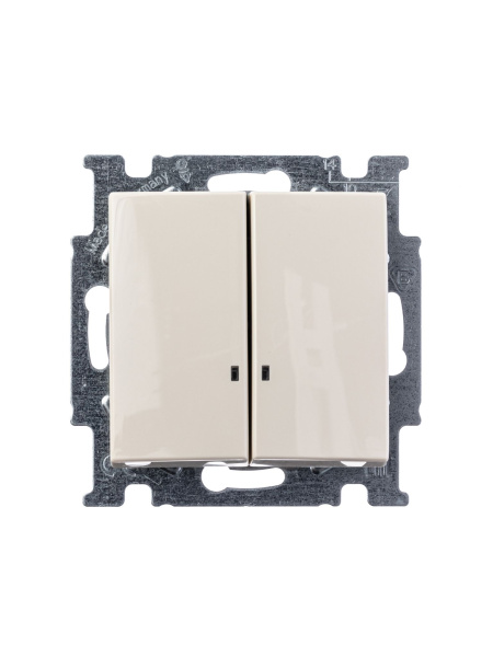 Купить ABB BJB Basic 55 Беж Выключатель 2-клавишный с подсветкой 2CKA001012A2157
