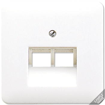 JUNG CD 500/CD plus Бежевая Накладка 2-ой наклонной ТЛФ/комп розетки 569-2UA