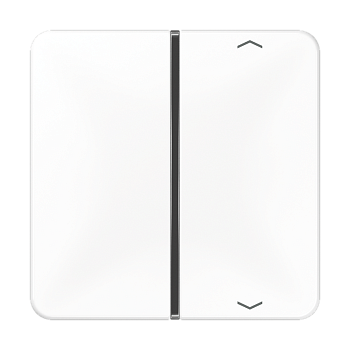 JUNG клавиша с символом для пульта KNX, белая, для серии CD CD401TSAPWW