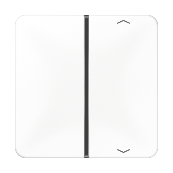 JUNG клавиша с символом для пульта KNX, белая, для серии CD CD401TSAPWW