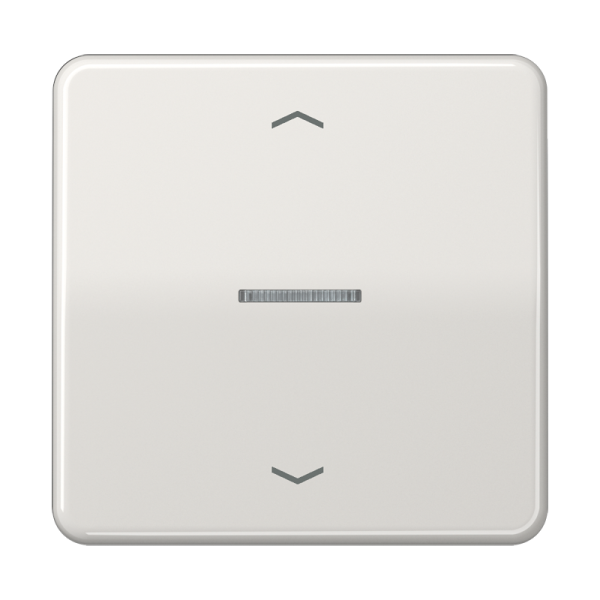 JUNG Клавиша для одинарной кнопки BCU светло-серая CD590KO5PLG