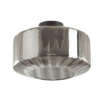 Odeon Light Потолочный светильник  Binga 4746/1C