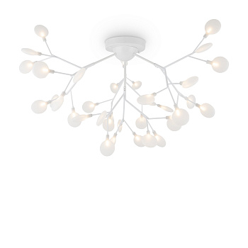 Freya Florencia Белый Потолочный светильник FR5049CL-36W1