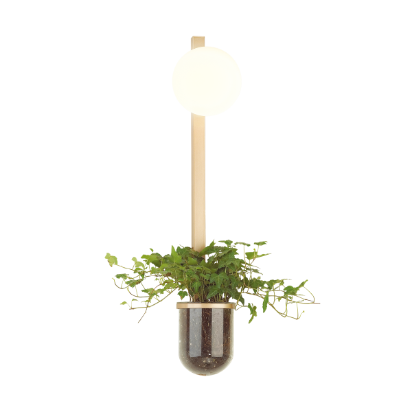 Купить Odeon Light 4682/1WB ODL20 625 золото/белый Настенный светильник E14 1*40W 220V FLOWER