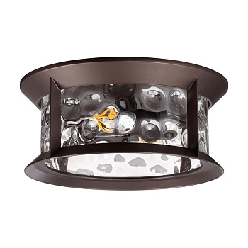 Odeon Light 4961/2C NATURE ODL22 577темно-коричневый/стекло Ландшафтный потолочный светильник E27 2*60W IP44 MAVRET
