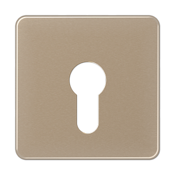 JUNG центральная плата для вставки с ключом, золотая бронза CD525GB