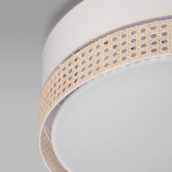 Купить Eurosvet 6690 Светильник потолочный Paglia a058074