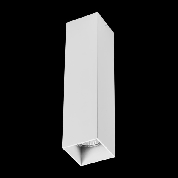 Купить Lightstar Светильник точечный накладной декоративный под заменяемые галогенные или LED лампы Rullo Lightstar 216396