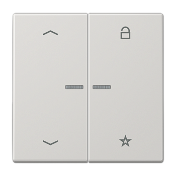 JUNG Центральная плата для вставок управления двигателями, светло-серый LS1701PLG