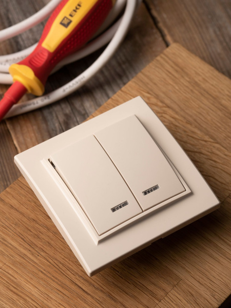 Купить EKF Basic Минск Бежевый Выключатель 2-кл с индикатором, 10А, СП