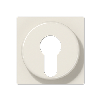 JUNG Крышка для выключателя с замком слоновая кость A528PL