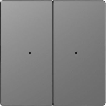 SE Merten D-Life Нержавеющая Сталь PlusLink Клавиша 2-ая без символов MTN5220-6036