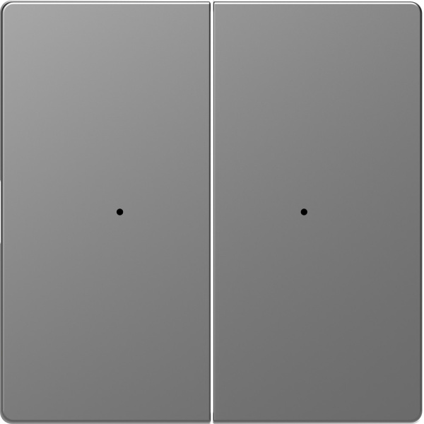 SE Merten D-Life Нержавеющая Сталь PlusLink Клавиша 2-ая без символов MTN5220-6036