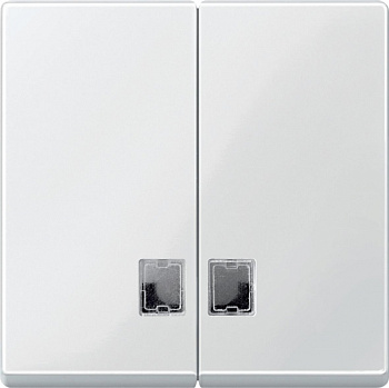 SE Merten SM Клавиша 2-ая с окнами для символов (MTN438519)