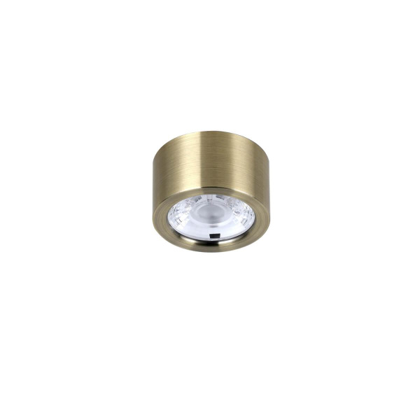Купить Favourite 2806-1U Deorsum Потолочный светильник D65*H40, 1*LED*7W, 560LM, 4000K, included