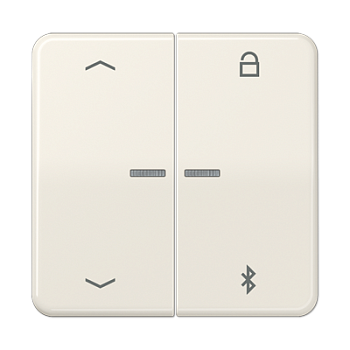 JUNG Таймер универсальный Bluetooth «стрелки», слоновая кость CD1751PBT