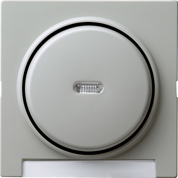 Gira Одинарная клавиша с полем для надписи и подсветкой 067042