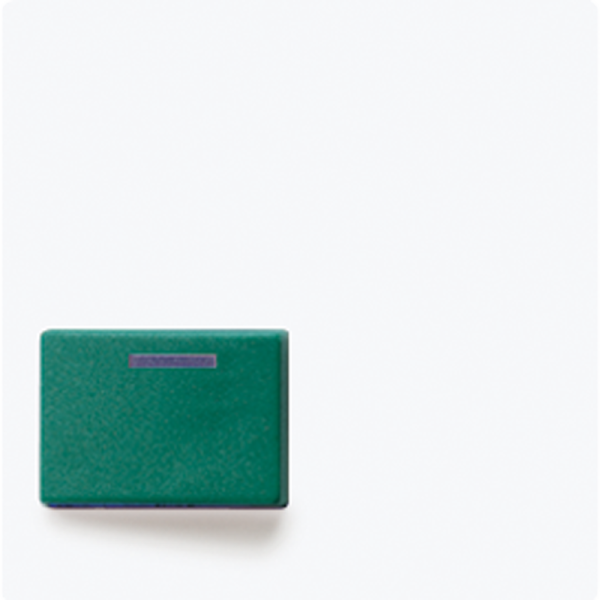 JUNG Крышка для изделий Ackermann A642CWW