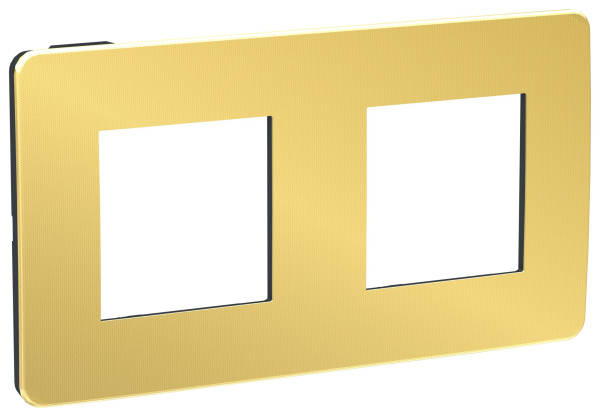 Купить SE Unica Studio Золото/Антрацит Рамка 2-ная NU280462