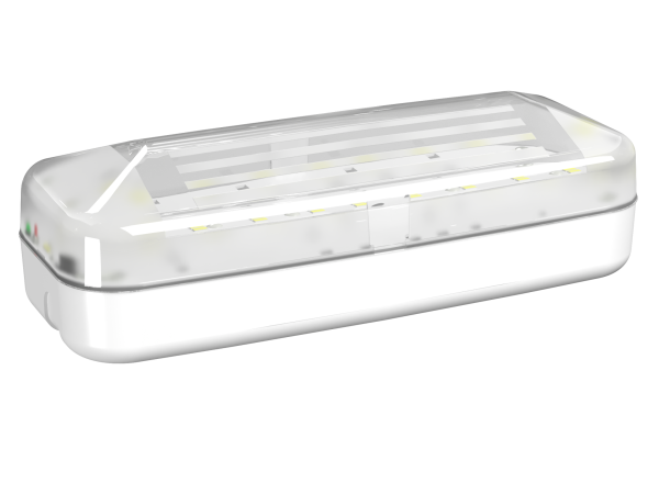 Купить Белый свет Аварийный светильник BS-JUNIOR-51-L1-INEXI2 a16783