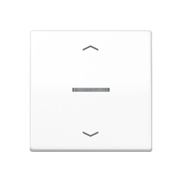 JUNG Клавиша для кнопки BCU белая AS591KO5PWW