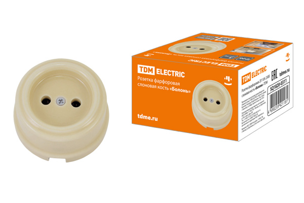 TDM Розетка фарфоровая 2П 10А 250В сл. кость «Болонь» SQ1820-0311