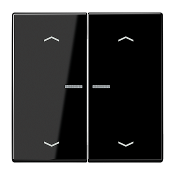 JUNG Клавиши для сдвоенной кнопки BCUчёрные LS995KO5MPSW