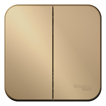 Systeme Electric Blanca наруж Титан Выключатель 2-клавишный 10А, 250B, изолир. пластина