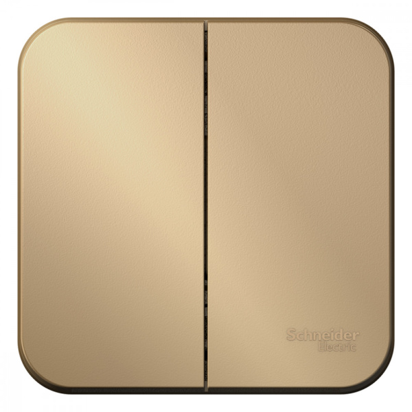 Systeme Electric Blanca наруж Титан Выключатель 2-клавишный 10А, 250B, изолир. пластина