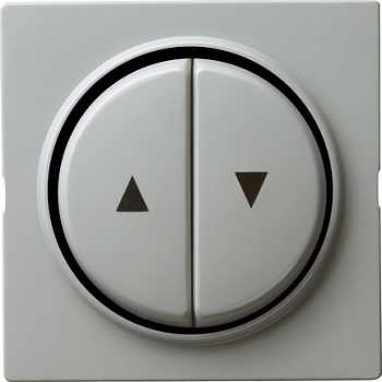 Gira Двойная клавиша для жалюзи со стрелками 029442