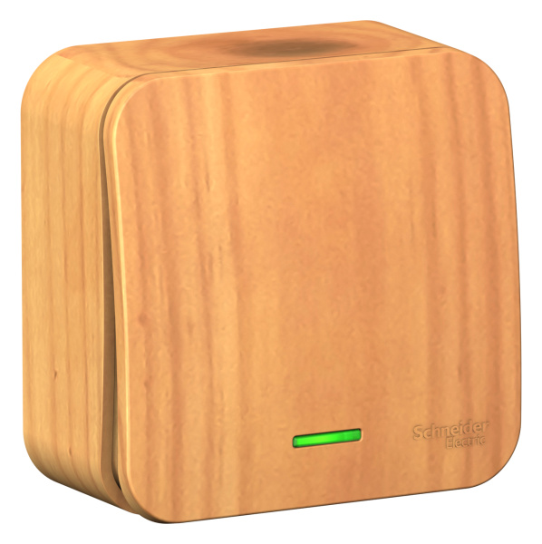 Купить Systeme Electric Blanca наруж Ясень Выключатель 1-клавишный с подсветкой, 10А, 250B