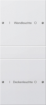 Gira Набор клавиш 2-местный (1+1),  ГРАВИРОВКА 220227