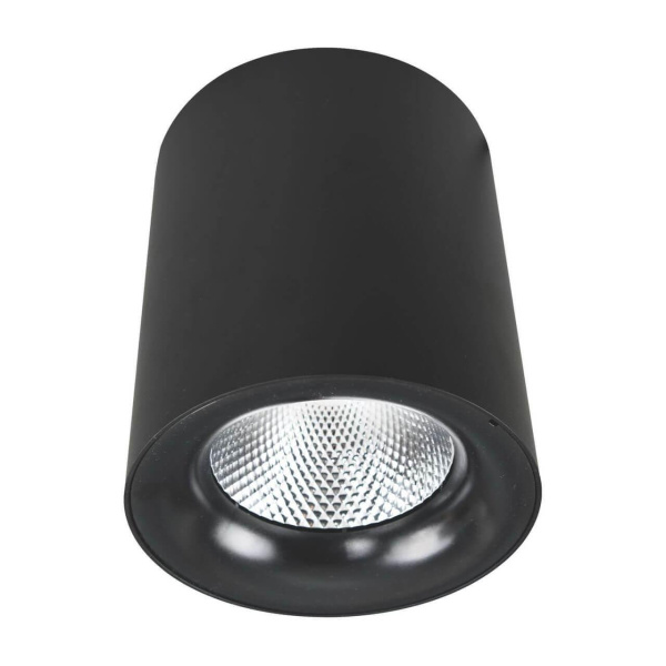 Arte Lamp FACILE Потолочные светильники A5130PL-1BK