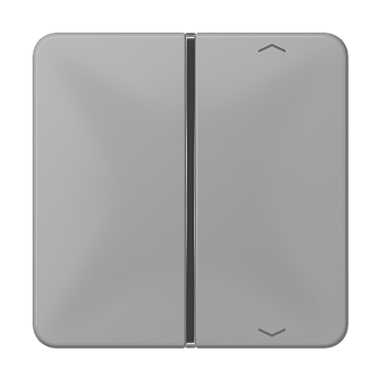 JUNG клавиша с символом для пульта KNX, серая, для серии CD CD401TSAPGR