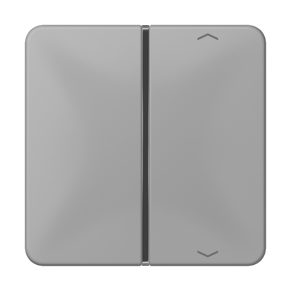 JUNG клавиша с символом для пульта KNX, серая, для серии CD CD401TSAPGR