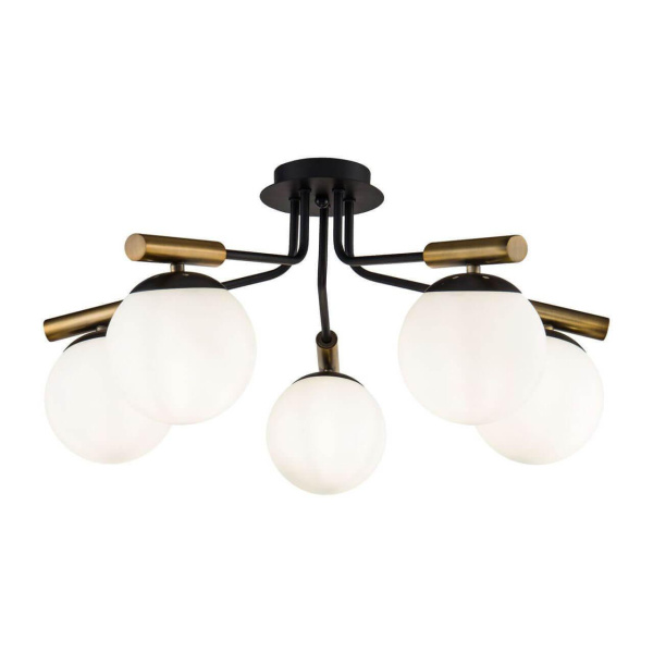 Freya Modern Paolina Черный Потолочный светильник E14 40W FR5011CL-05B