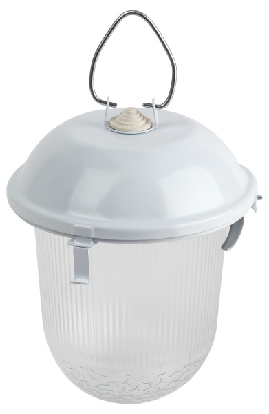 ЭРА Светильник НСП 02-100-001 без решетки Желудь сталь / стекло IP54 E27 max 100Вт 170х260 белый