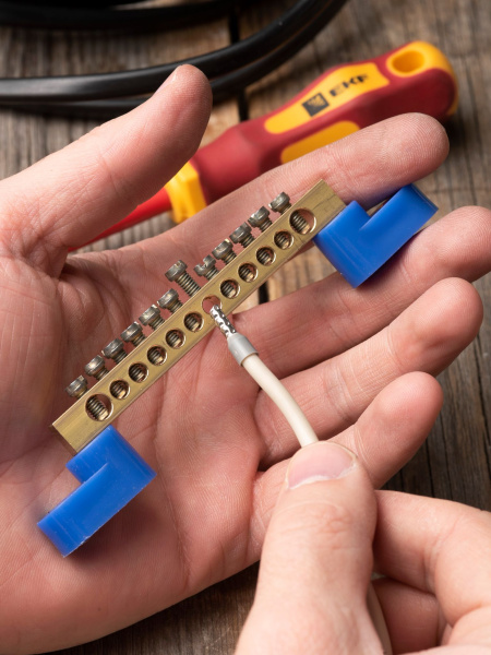 Купить EKF PROxima Шина "0" N (6х9мм) 12 отверстий латунь 2 синих угловых изолятора