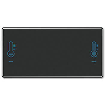 JUNG клавиша с символом температуры A409T