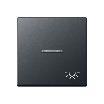 JUNG клавиша с символом освещения с подсветкой, матовый антрацит A590BFKO5LANM