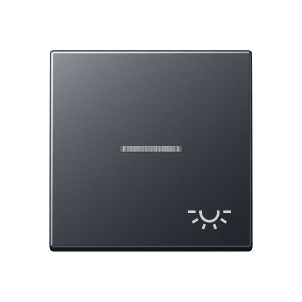 JUNG клавиша с символом освещения с подсветкой, матовый антрацит A590BFKO5LANM