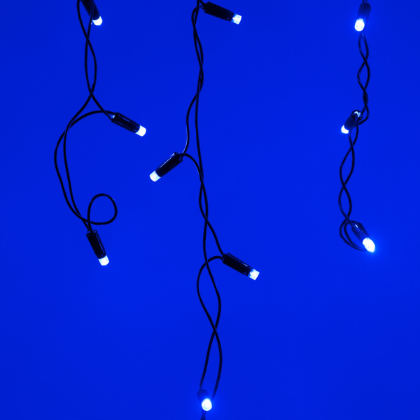 Купить Arlight Светодиодная гирлянда ARD-EDGE-CLASSIC-2400x600-BLACK-88LED-STD BLUE (230V, 6W) (Ardecoled, IP65) 026009