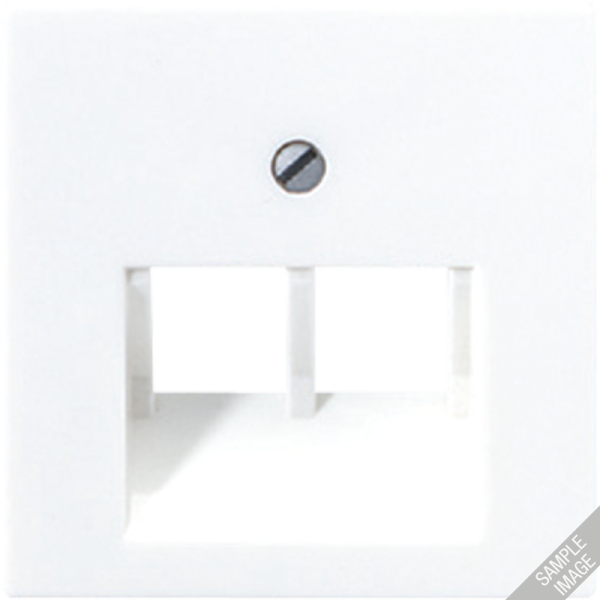 JUNG A 500 Шампань Накладка для модульных гнезд A569-2BFPLUACH