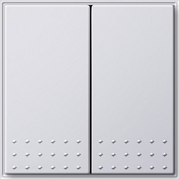 Gira TX 44 Белый Выключатель 2-клавишный механизм с накладкой 012566