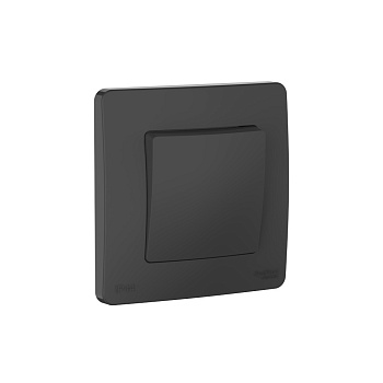 Systeme Electric Blanca внутр Антрацит Переключатель 1-клавишный IP44, 10A, 250В