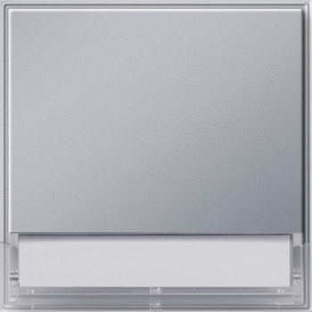 Gira Клавиша с полем для надписи 37*47 мм 067665